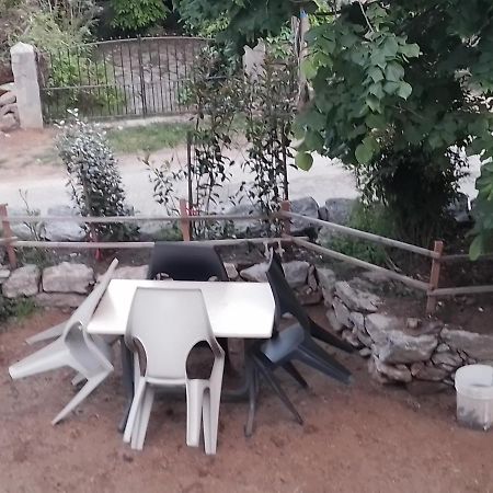 Maison De Caractere Au Coeur De La Corse Rurale Calacuccia Dış mekan fotoğraf